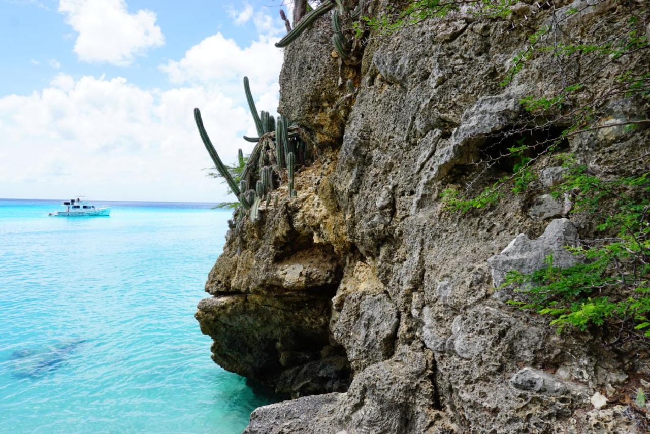Boca Simon Vacation Curacao Hotel Willemstad Bagian luar foto